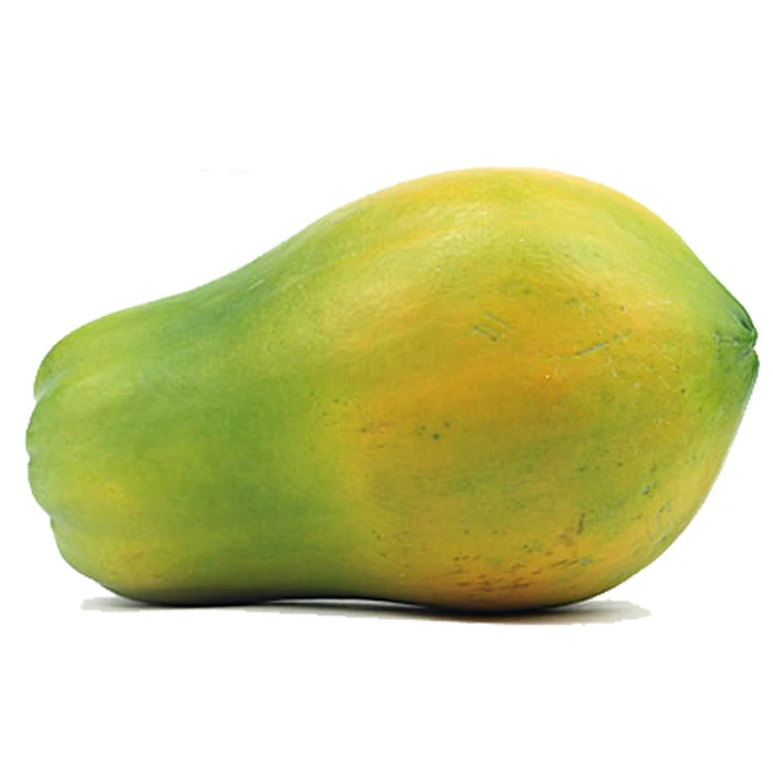 Good Quality Sweet Flavor Wholesale Fresh Papaya for Bulk Buyers