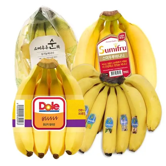 Fresh Cavendish Banana Ready to Export 2024
