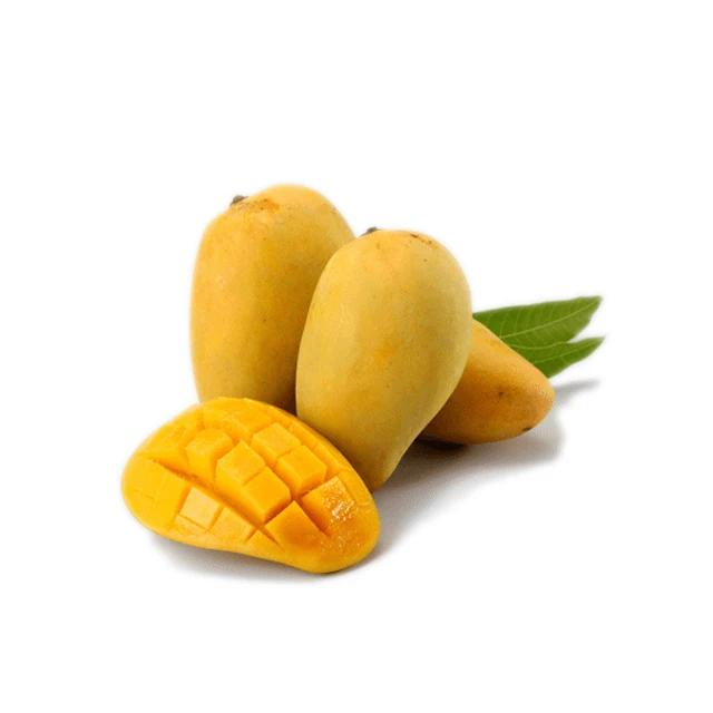 Vietnam Mango Sand Mango For Export Cheap Price With High Quality