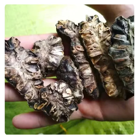 BEST PRICE VIETNAMESE DRIED NONI LEAVES - HIGH-QUALITY ORGANIC WELLNESS PRODUCT