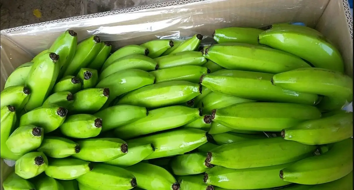 banana33.JPG