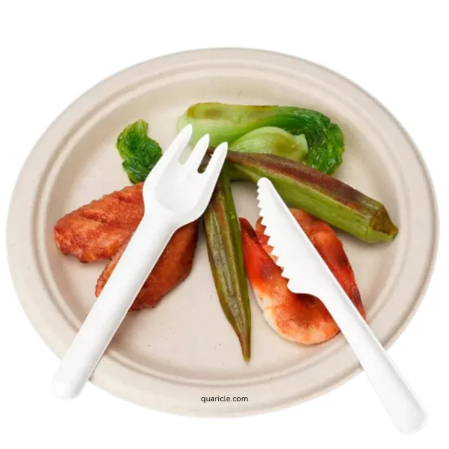 high quality factory price  Disposable  Biodegradable Utensils for Weddings, Events, Birthdays, Travel, Camping hotels bar home