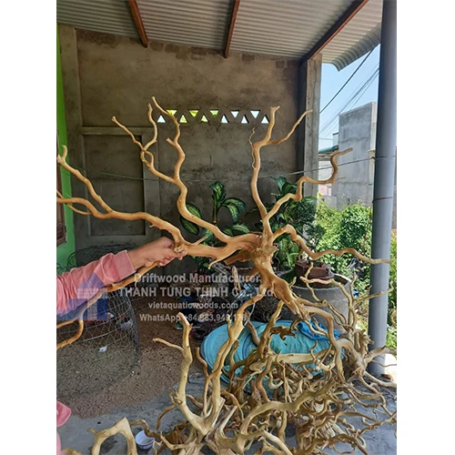 Best Seller 2024 High Quality Decor Roots Natural Driftwood wholesale for aquariums and accessories WhatsApp: +84 963 949 178