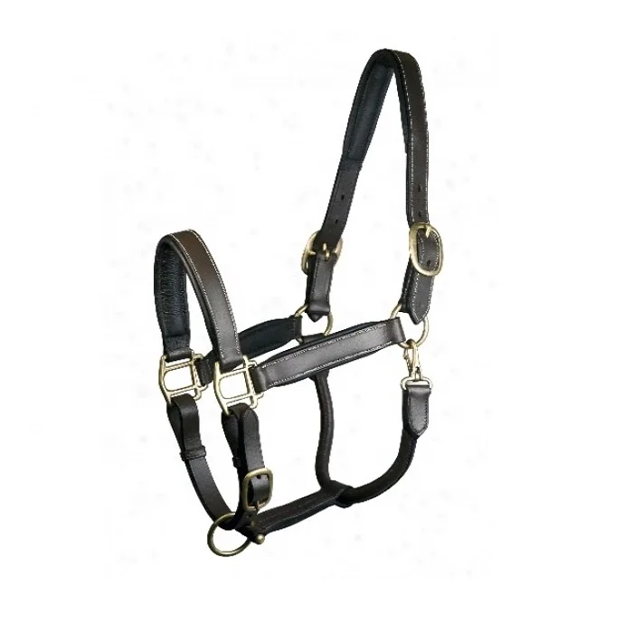 EQUESTRIAN HORSE HALTER GENUINE LEATHER HORSE RIDING HALTER NEW ARRIVAL 2024OUTDOOR TRAINING DRESSAGE COMFY PADDING HORSE HALTER