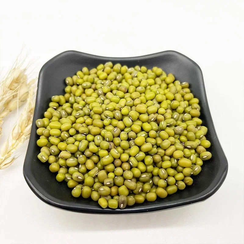 Top Quality Ukraine Green Mung Beans / Moong Dal / Vigna Beans for export