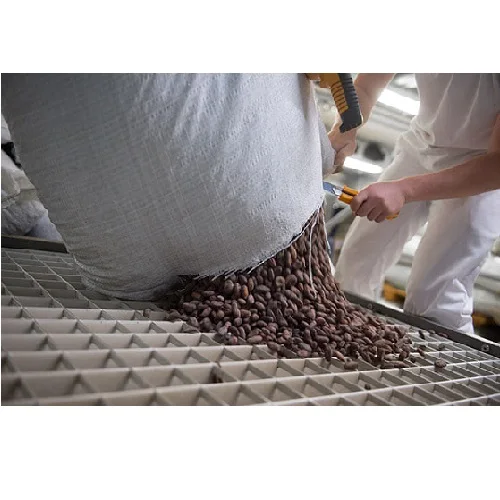 Quality Dried Cacao Beans 2023 Harvest from Belgium / Cacao Beans for Chocolate factory for sale in Europe