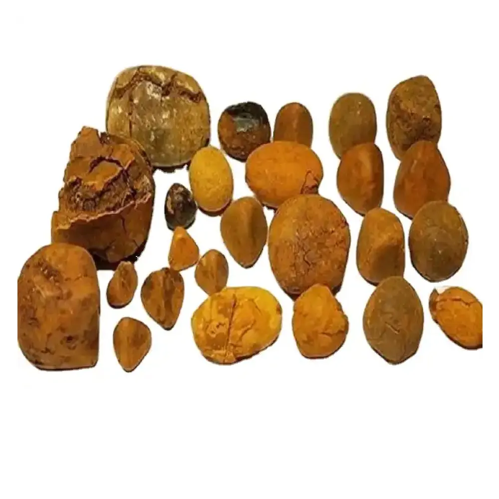 Premium Ox Gallstones for Sale - High-Quality Cattle Gallstones, 100% Authentic Cow Gallstones