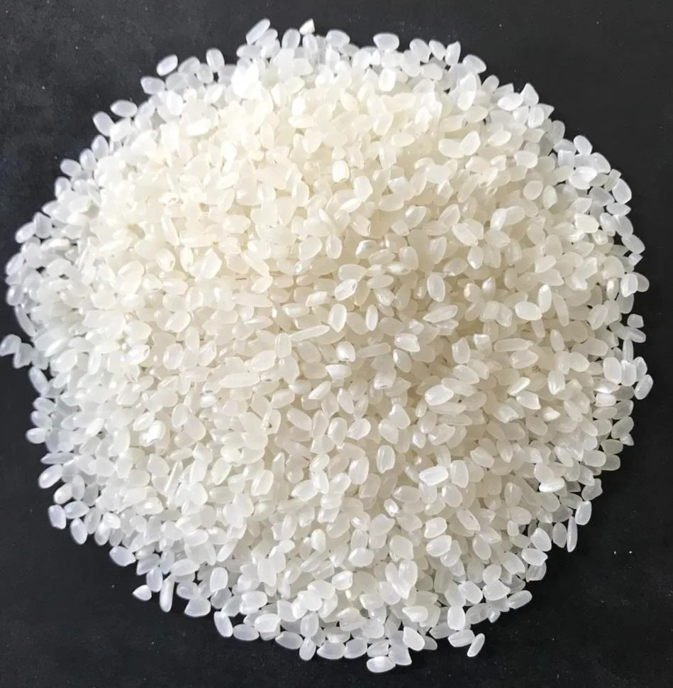 Quality Japonica Rice Soft Delicious Best Price Natural White Japonica Rice Best White round rice fresh