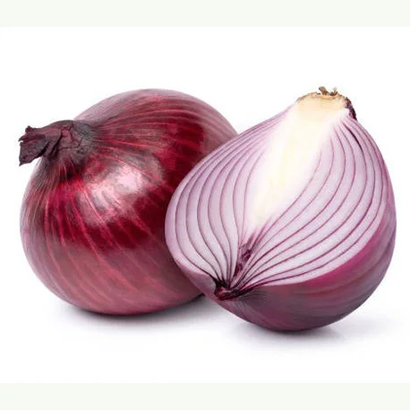 High quality Best Price Fresh Red Onion