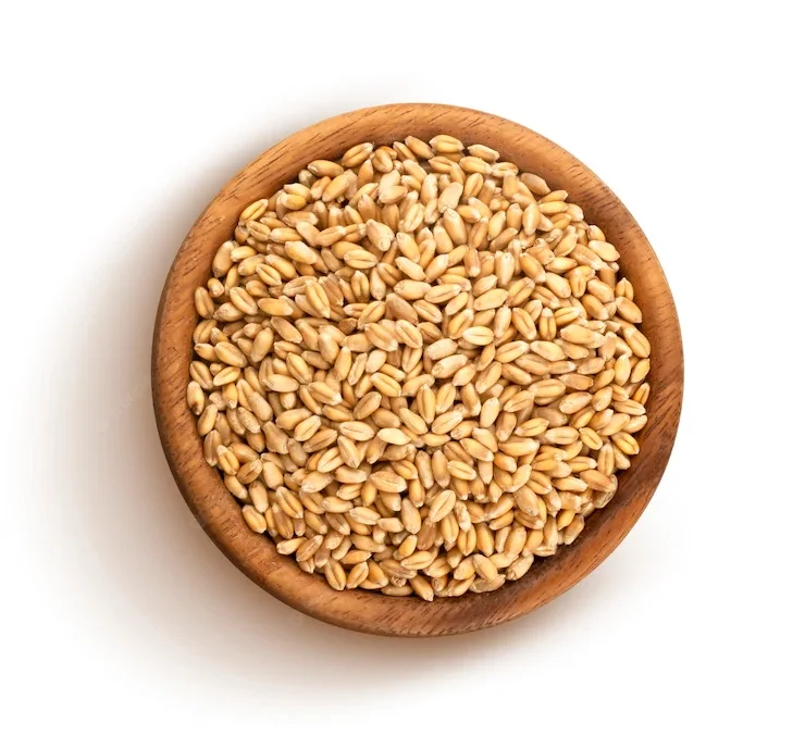 Farm Produced Organic Whole Wheat Grains at Best Market Price