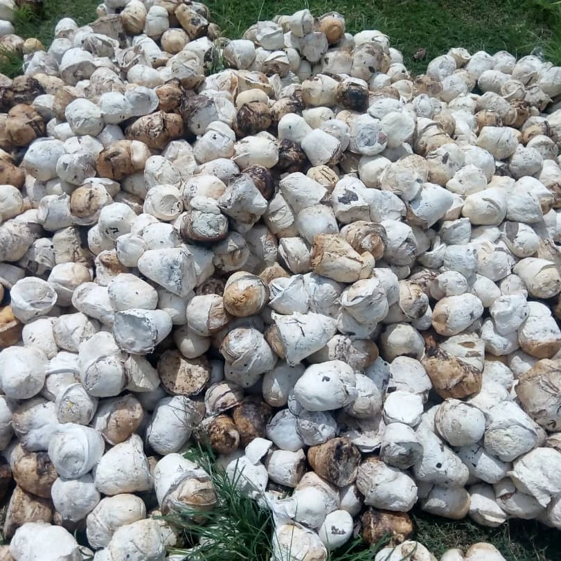 Натуральная чашка кусковая резина для