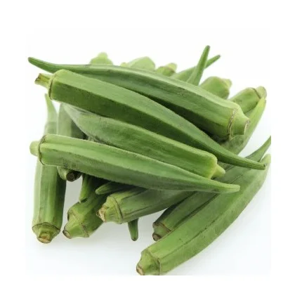 High Quality Fresh Vegetables Okra Available For Sale At Low Price