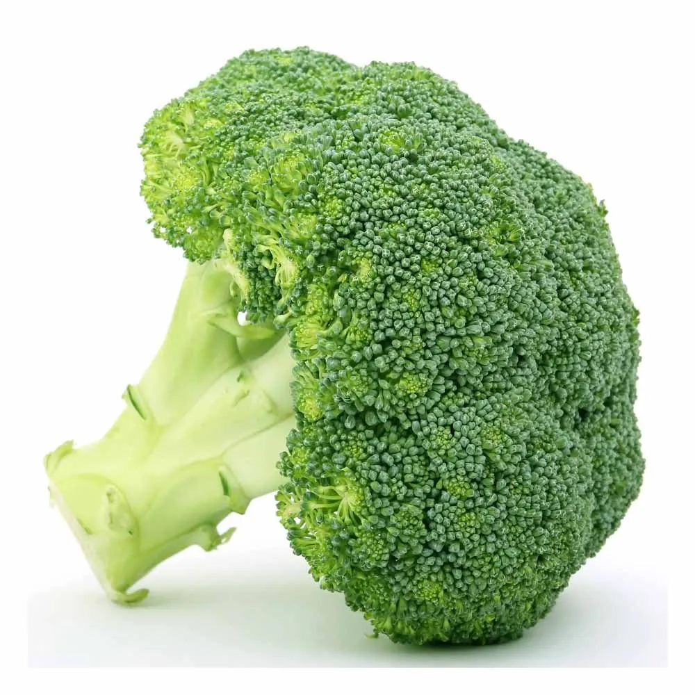 FRESH BROCCOLI with high quality and cheap price 2022 from Vietnam (Wholesale)