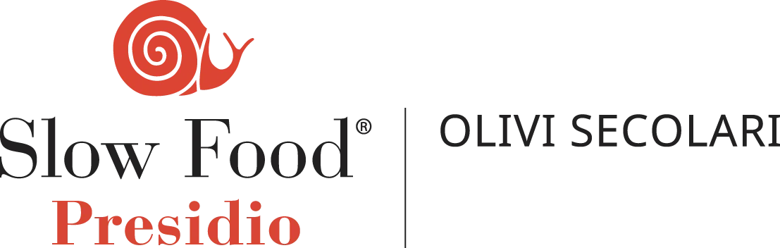 Best Italian table green olives Nocellara hand-picked in brine 500g Jar gourmet