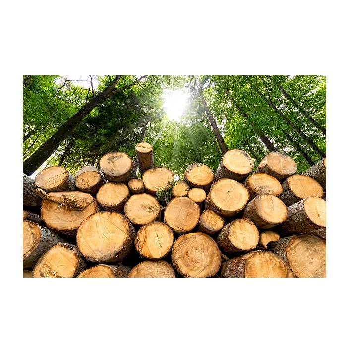 High Quality Hard Wood Round Logs At Low Price