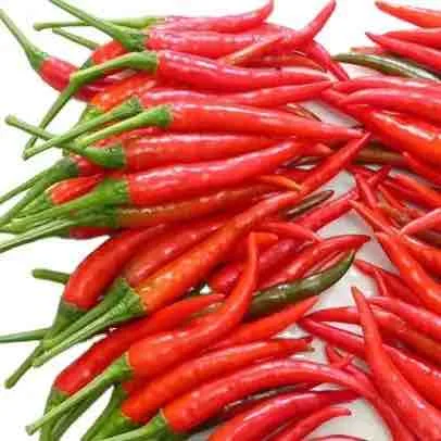 Export Dried Red WholeSale Chili pepper Indian red pepper dried crushed chilies