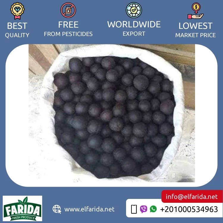 Egypt Origin Supplier of Best Quality Premium Grade Delicious and Nutritious Fresh Citrus Fruit Yellow and Black Dried Lemon