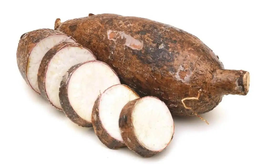 Bes Product 2023  - Tapioca Chip -Feeding Animal Cassava Chips -  Cassava Chip export worldwide