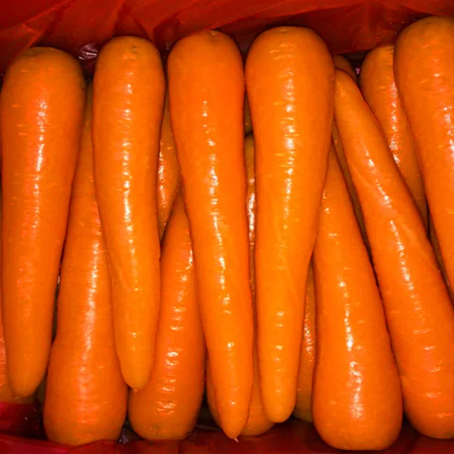 Свежая Органическая Морковь из Вьетнама Высококачественная в коробке размер S M L новый урожай