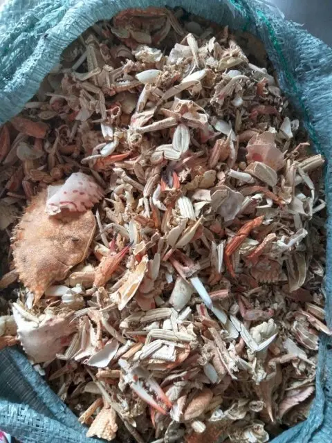 DRIED RAW MATERIAL WHOLESALE CRAB SHELL/ SHRIMP SHELL TO MAKE CHITIN CHITOSAN FOOD GRADE FROM VIET NAM