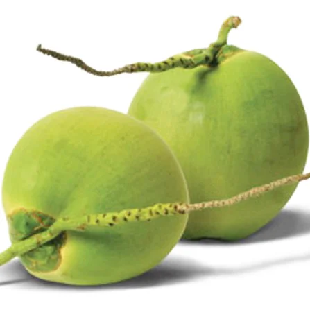 Высококачественный Свежий Кокосовый 100% натуральный свежий кокос премиум класса лучший