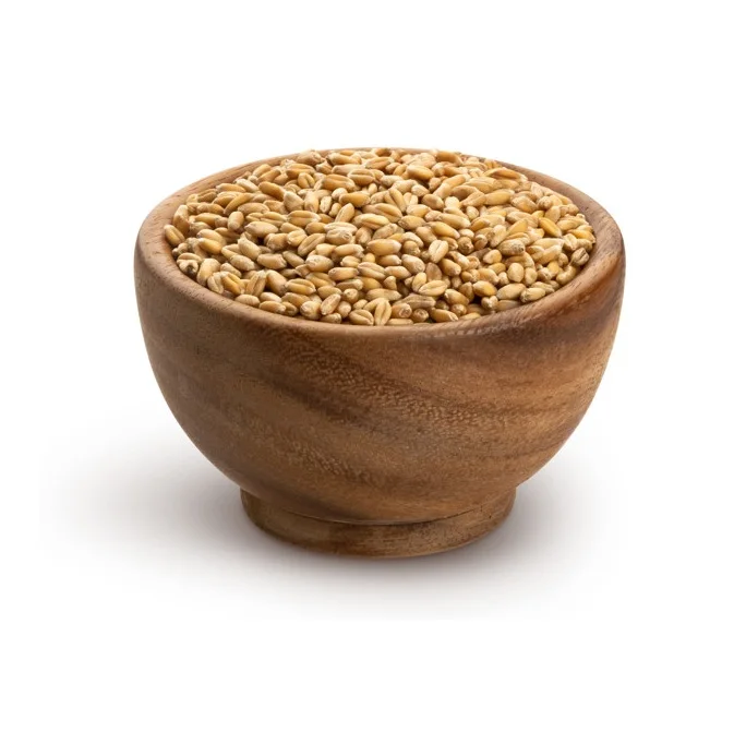 Wholesale Price Natural Soft Wheat Grains Bulk Stock Available For Sale