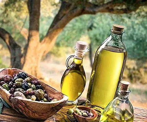Top quality 100 % Austrian Extra Virgin Olive Oil Available for Export
