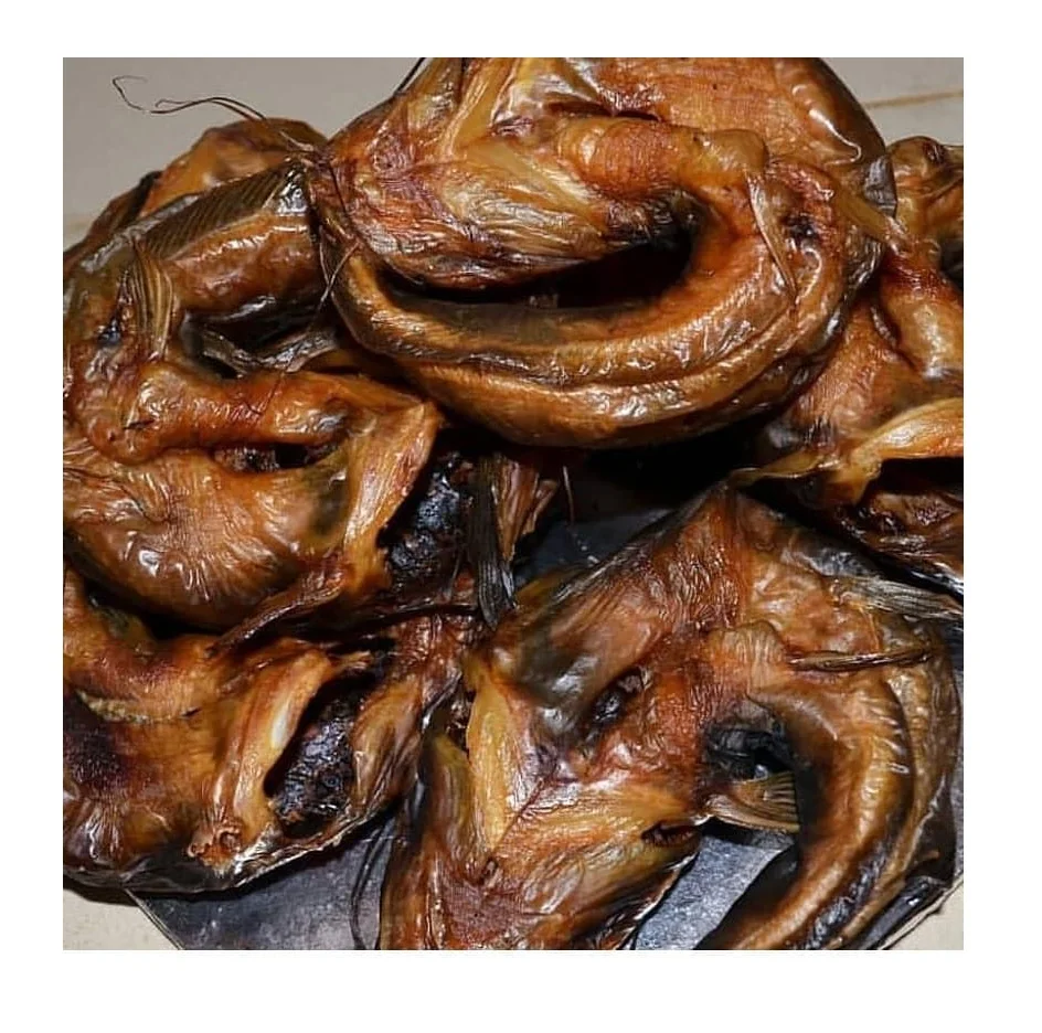 Dried Catfish in Carton Packaging wholesale Bulk Seafood Supplier