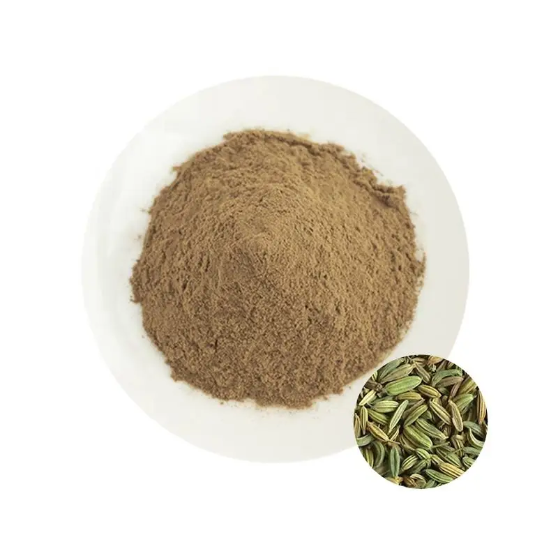 Factory Price Natural 10:1 Foeniculum Vulgare Fennel Extract Fennel Seed Extract Powder Cheap price