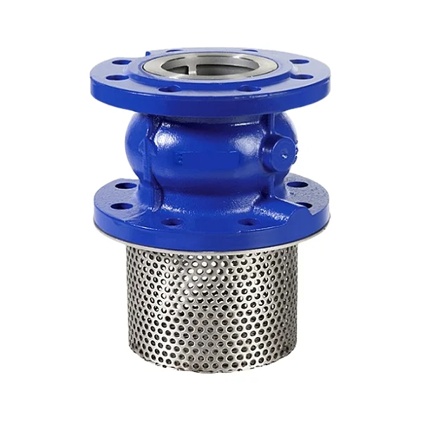 Factory price PN16 Foot Check Valve with Strainer DN50-DN150 Flange Foot Check Valve