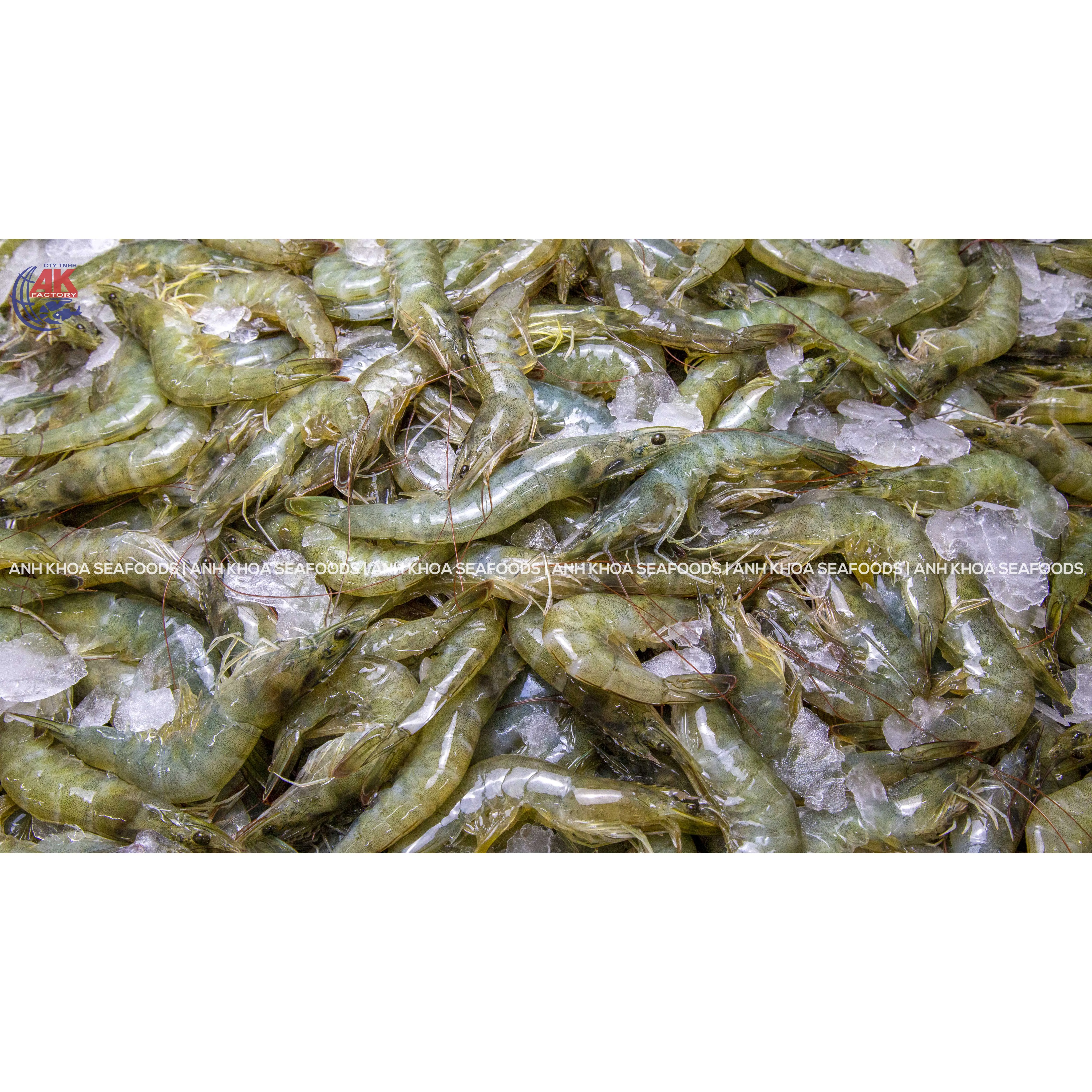 OEM Wholesale Seafood Supplier W/HOSO Fresh Vannamei Shrimp Head On Shell On With Custom Weight Request Origin From Vietnam