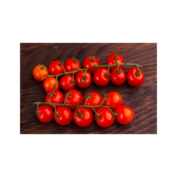 Fresh tomatoes for sale own production farm natural product in bulk