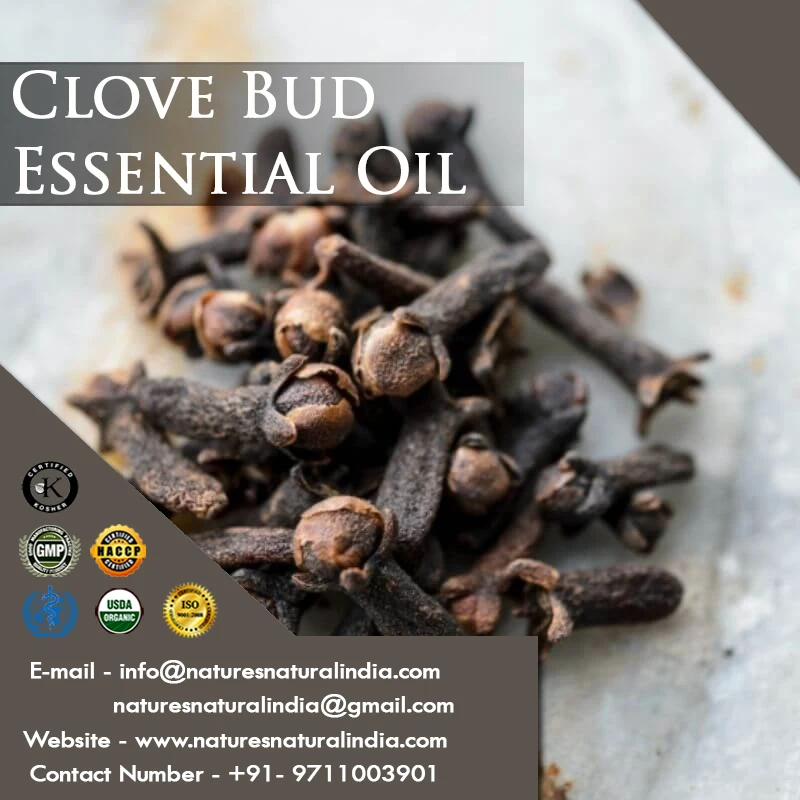 100% Natural and Organic Certified Clove Bud Oil Manufacturing Unit in India for Cosmetic raw Material
