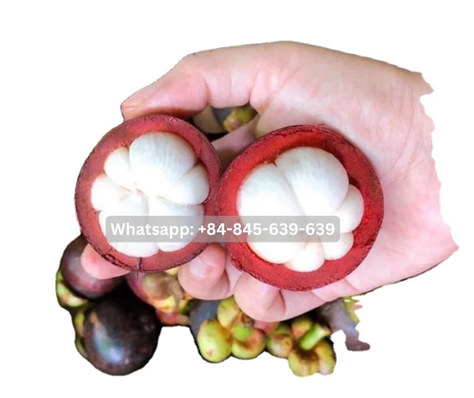 Unlock the power of nature with our range of mangosteen-based products.