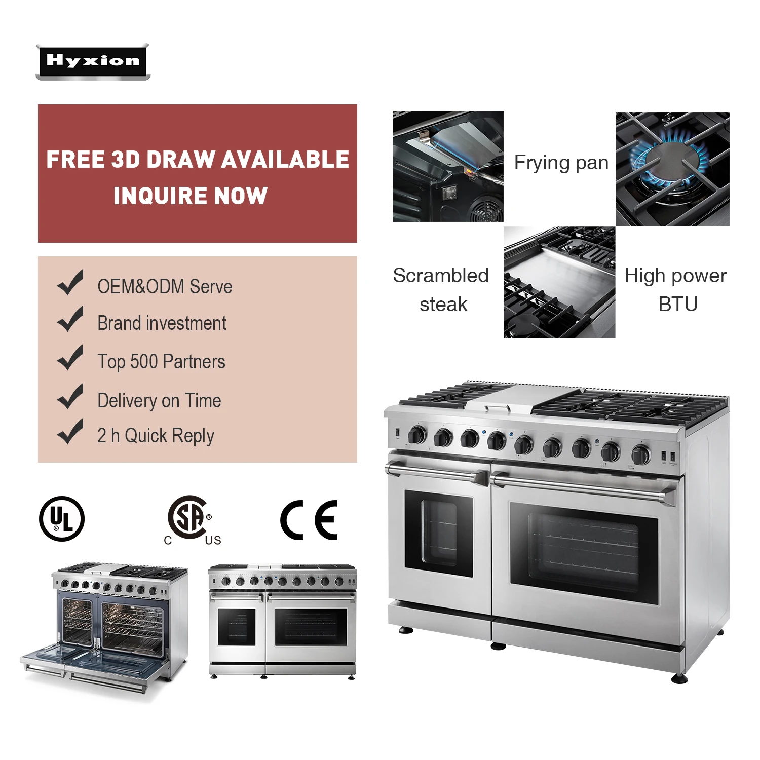 Hyxion 48inch gas cooker convection camping stove chicken ranges