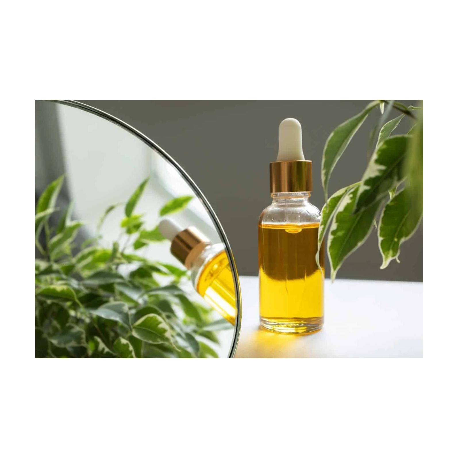 Pure and refined castor oil Castor Oil for sale