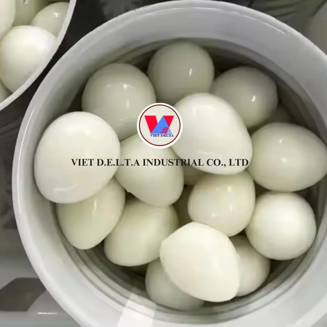 BEST PRODUCT from Quail eggs from Vietnam / COOKED QUAIL EGGS CANNED