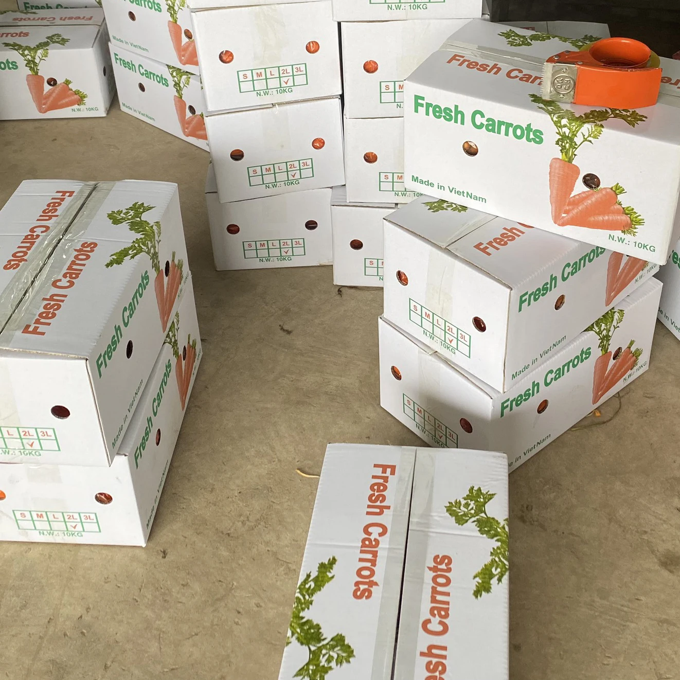 LOW PRICE CARROT, CHEAP FOR SALES