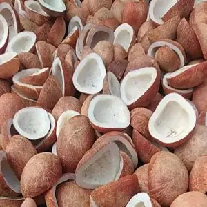 Сушеная копра