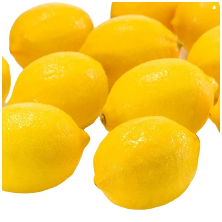 High-Quality Wholesale Fresh Lemon Fresh Fruit Organic Lemon Direct Selling Available At Reasonable Prices
