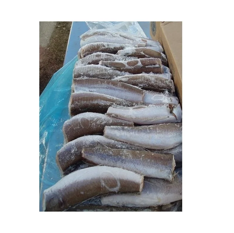 Wholesale Manufacturer and Supplier From Germany Hake whole fish, Frozen Hake fish fillet hake High Quality Cheap Price