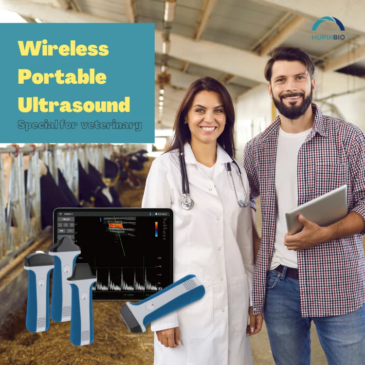 Private Custom High Quality Wireless 128 elements Linear Veterinary Ultrasound