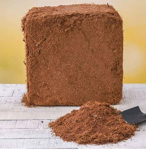 Factory Price Organic Cocopeat Block Cocopeat Price for Growing plant With Size 30 x 30 x 15cm Made in Vietnam