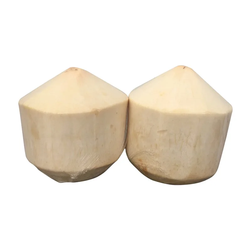 Wholesale coconut- Fresh coconut young - Semi husked coconut with 9pcs / LC- TT payment  from Viet Nam