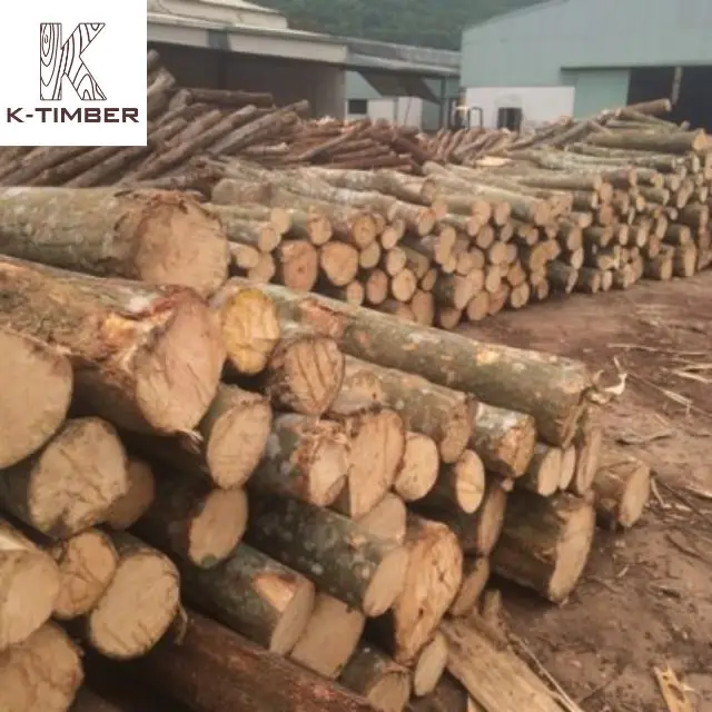 Eucalyptus Square Log From Africa Supplier Hardwood Floor Raw Materials Lumber Log Wooden Pallet Wood Boards Panel Timber