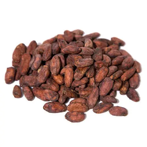 Most Sold 100% Organic Cocoa Beans Online, Raw Sun Dried Criollo Cacao Beans for High Quality Chocolate Cheap Export Wholesale