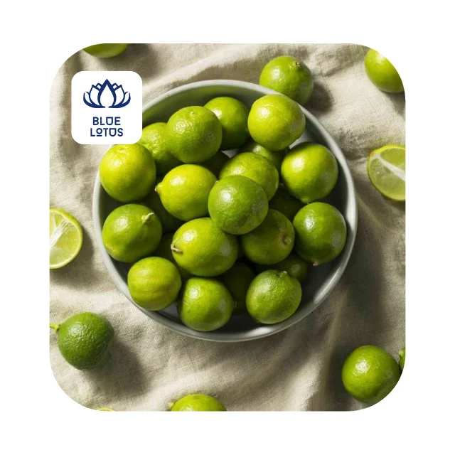 Fresh Seedless Lime Fresh Fruit