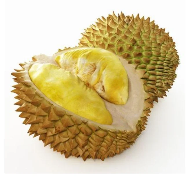 Quality Durian Fruits
