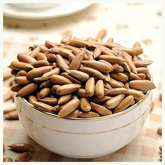 Bulk Organic Pine Nuts at Wholesale Prices High Quality Low Price Organic Pine Nuts for Sale Good Price