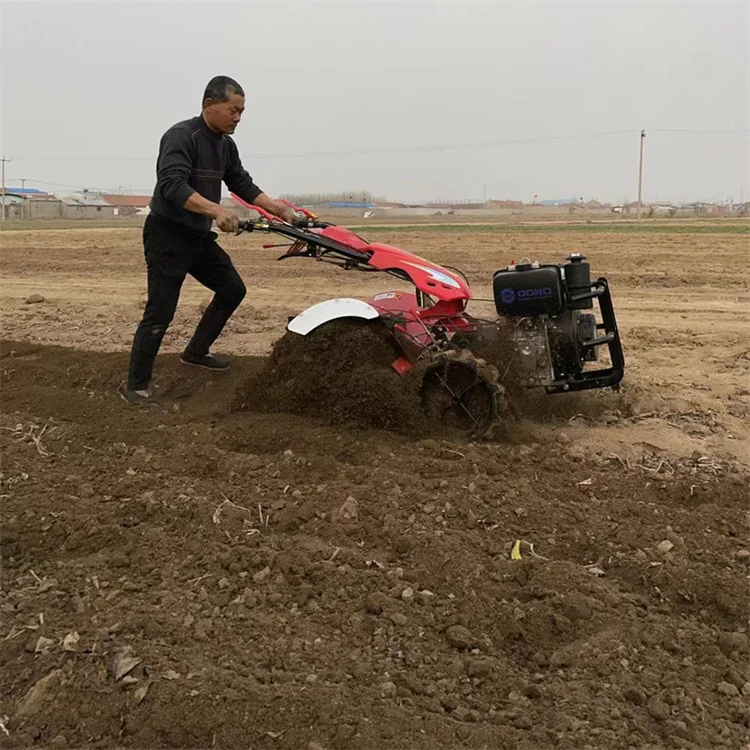 Double Row Plowing Tractor for Famer Medium Agricultural Tractor Walking Type Agricultural Tractor